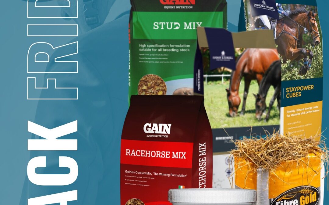 Special Feeds lanza su campaña de Black Friday con un 15% de descuento en toda la web 