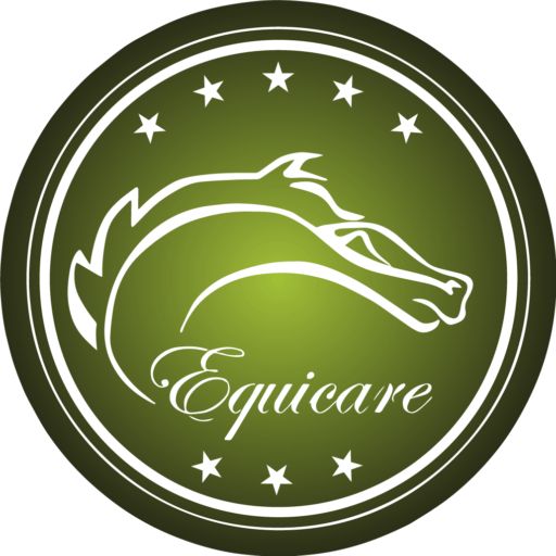 Equicare Horse SPA Hotel: cuidado y bienestar para tu caballo como en casa 