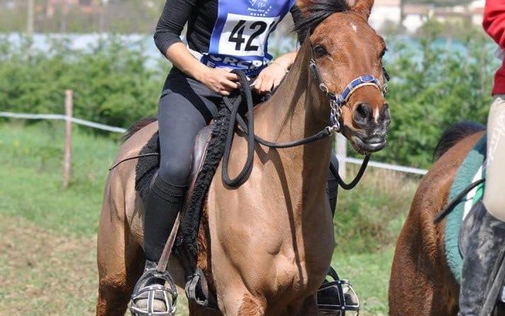 España estará representada por una copiosa participación nacional en el Raid de Uzès, Francia