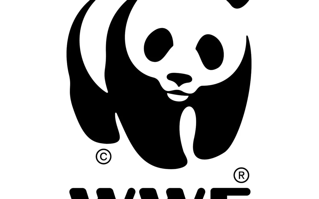 Conoce la vertiente solidaria de Beatriz Ferrer-Salat: hoy hablamos de WWF