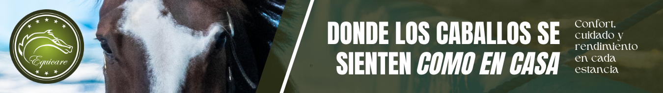 Banners New Chacco HEADER