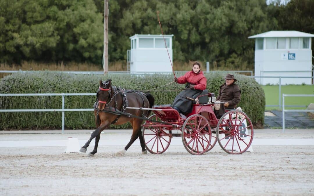 Cuadro ganador del Campeonato de Andalucía de Enganches 2025 