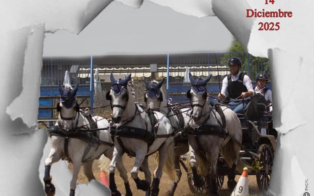 El Campeonato de Castilla y León de Enganche 2025 se celebrará en Segovia el 14 de diciembre