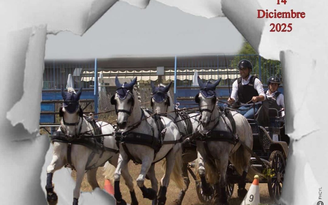 Finalizó el Campeonato de Castilla y León de Enganches 2025