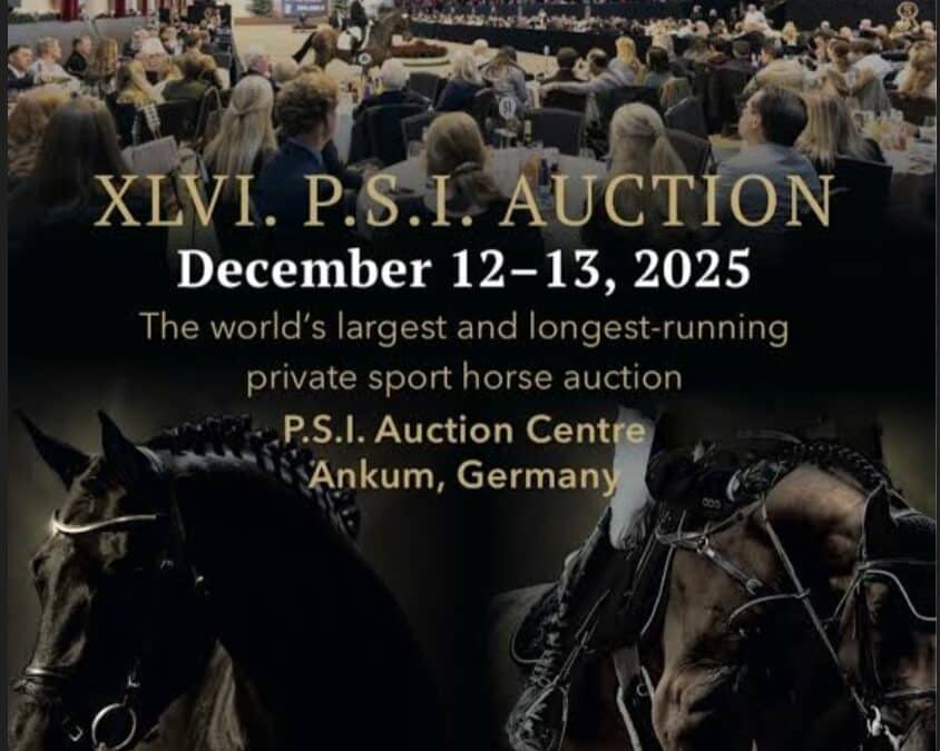 Presentación en directo de la colección de Doma Clásica P.S.I.