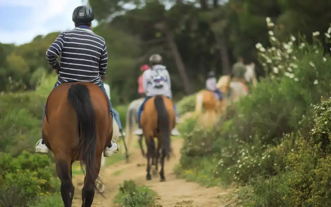 El futuro verde de la equitación