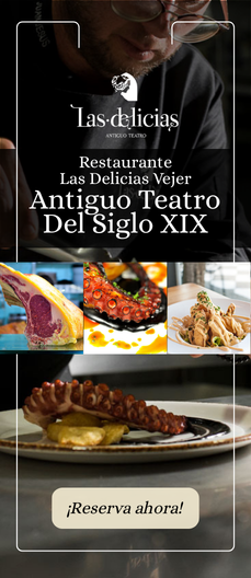 Banner alargado nueva chacco