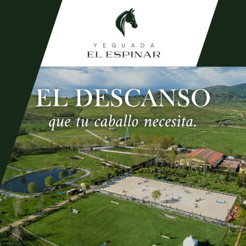 Banners NUEVA CHACCO LATERAL